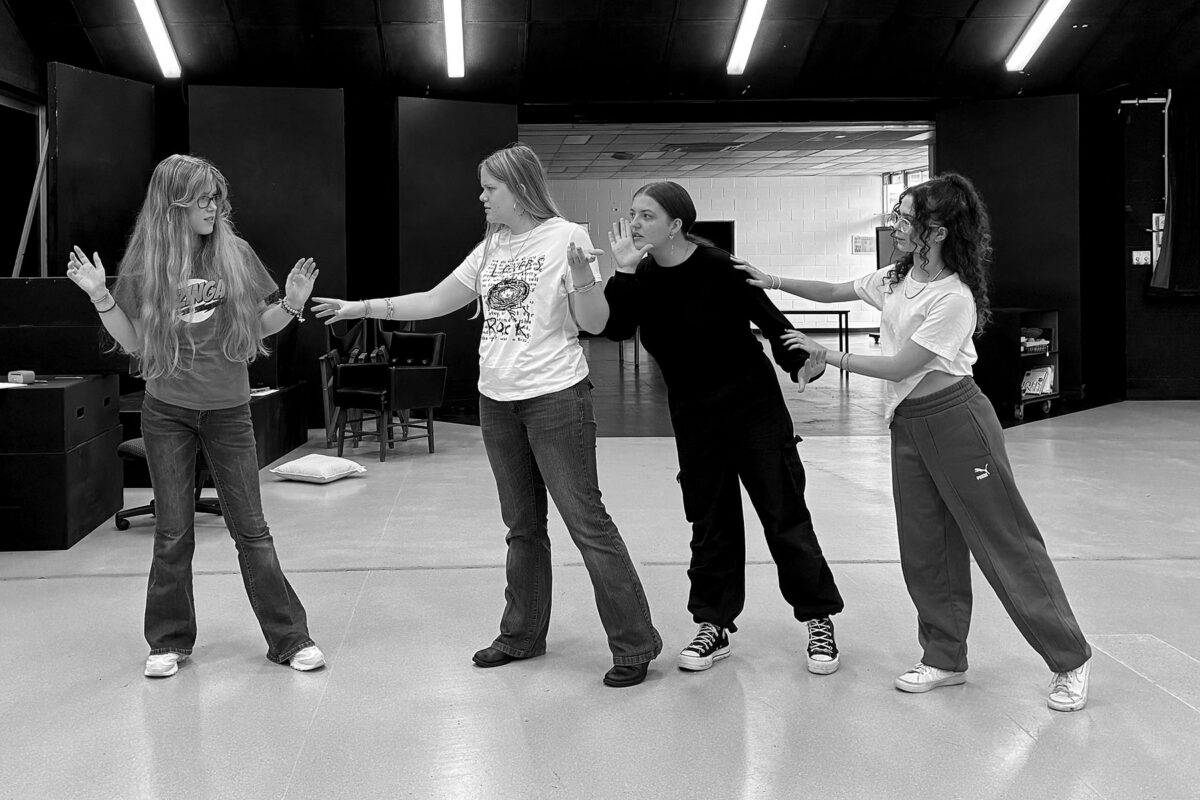 Students participating in the TOXICITY workshop